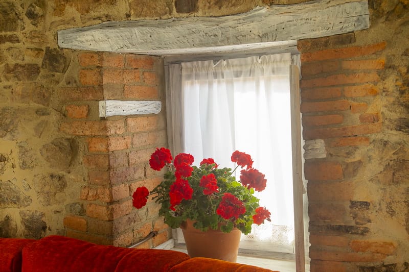 WhatsApp Image 2026-01-28 at 102808